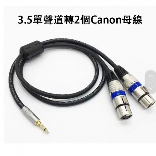 配件, 3.5單聲道轉2個CANON母線